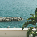 Long rocky beach and seaport  screen for extension Chrome web store in OffiDocs Chromium