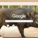 Lon Rung  screen for extension Chrome web store in OffiDocs Chromium