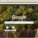 Loquat Tree  screen for extension Chrome web store in OffiDocs Chromium