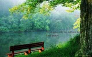 Free download Lose Yourself In Nature And Find Peace Uzi Grindler free photo or picture to be edited with GIMP online image editor