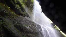 Free download Los Tilos San Andrés Y Sauces La -  free video to be edited with OpenShot online video editor