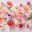 Lots of brilliant flowers  screen for extension Chrome web store in OffiDocs Chromium