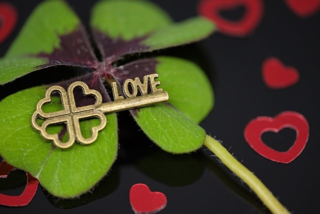 Free graphic love four leaf clover happiness to be edited by GIMP free image editor by OffiDocs