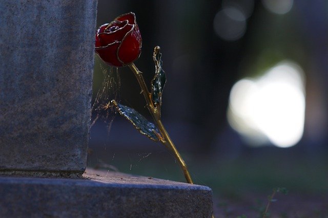 Free download love gold rose cemetery grave dead free picture to be edited with GIMP free online image editor
