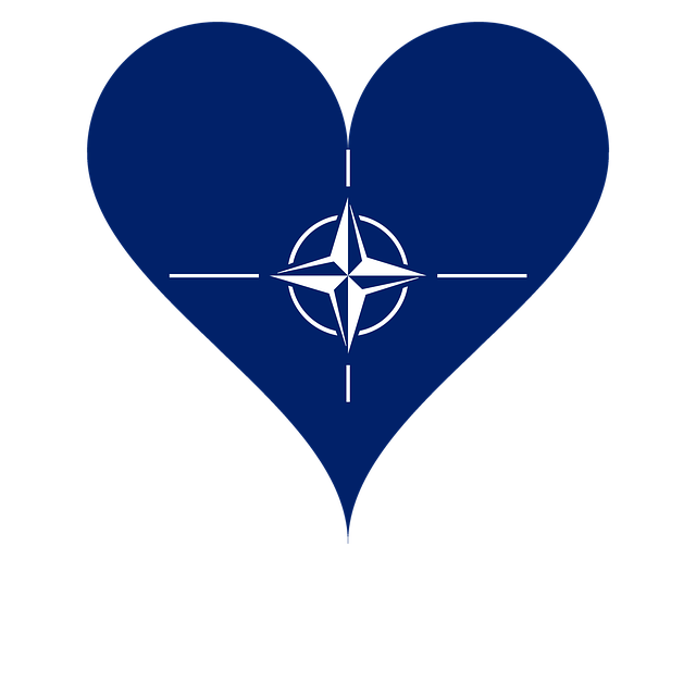 Free download Love Heart Nato - Free vector graphic on Pixabay free illustration to be edited with GIMP free online image editor