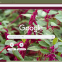 Love Lies Bleeding  screen for extension Chrome web store in OffiDocs Chromium