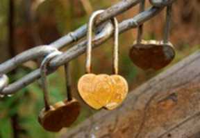 Free download Love Locks on a Walk Bridge free photo or picture to be edited with GIMP online image editor