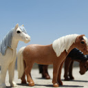 Lovely horses  screen for extension Chrome web store in OffiDocs Chromium