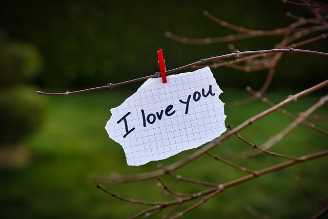 Baixe gratuitamente uma imagem gratuita de mensagem de papel de nota romântica de amor para ser editada com o editor de imagens on-line gratuito do GIMP
