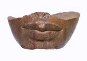 Free download Lower part of a royal head free photo or picture to be edited with GIMP online image editor