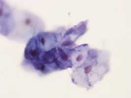 Free download LSIL 3 free photo or picture to be edited with GIMP online image editor