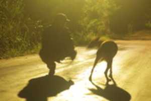 Free download Luan y Sami free photo or picture to be edited with GIMP online image editor