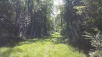 Free download Lucille Creek Trail Off Path free photo or picture to be edited with GIMP online image editor