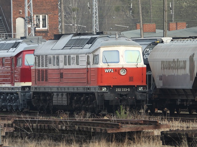 Free download ludmilla br232 free picture to be edited with GIMP free online image editor