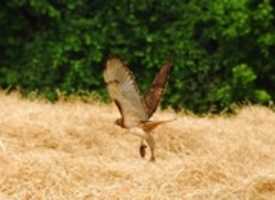 Free download Lunch To Go free photo or picture to be edited with GIMP online image editor