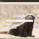 Lung  screen for extension Chrome web store in OffiDocs Chromium