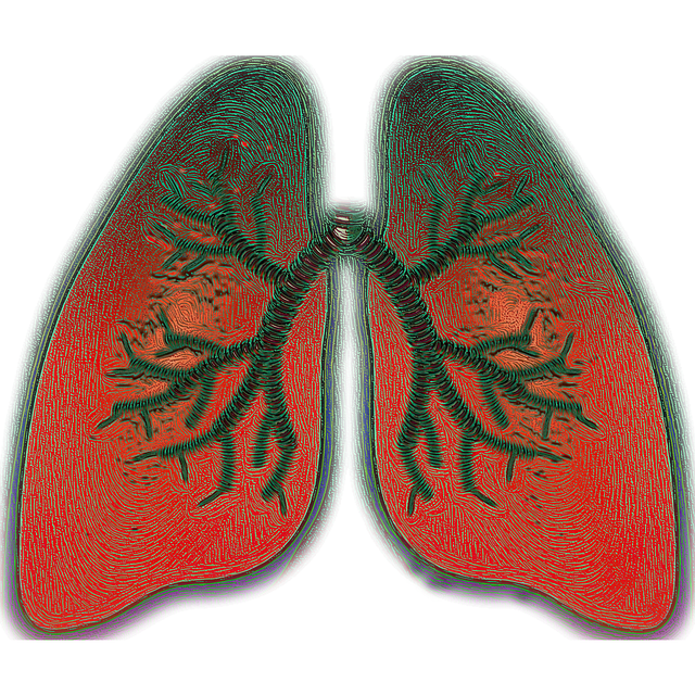 Free download Lung Breathing Asthma -  free illustration to be edited with GIMP free online image editor