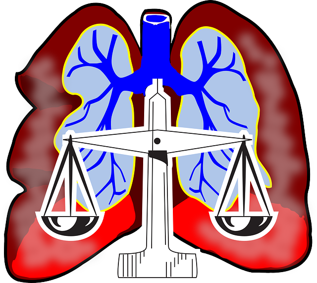 Free download Lungs Diagram Air - Free vector graphic on Pixabay free illustration to be edited with GIMP free online image editor