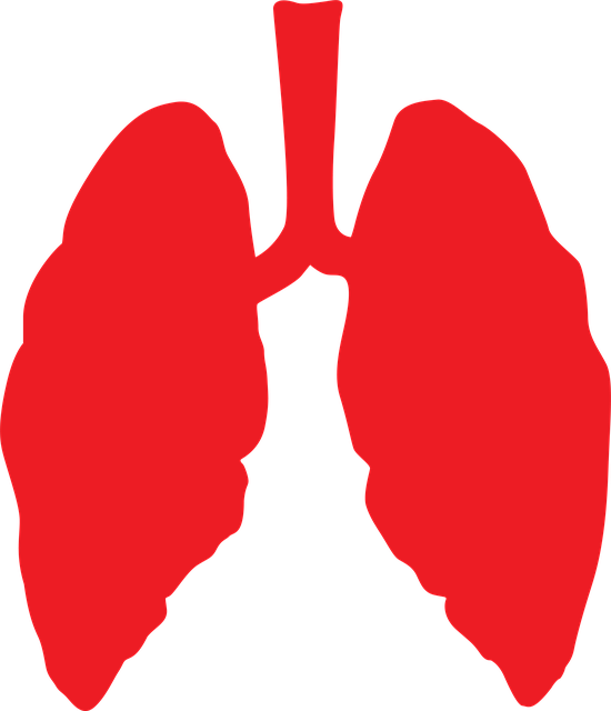 Free download Lungs Lung Health -  free illustration to be edited with GIMP free online image editor