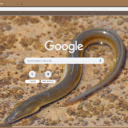 Luon  screen for extension Chrome web store in OffiDocs Chromium