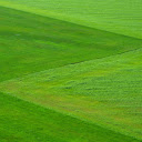 Lush green grass  screen for extension Chrome web store in OffiDocs Chromium