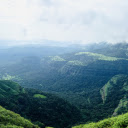 Lush green mountains and forests  screen for extension Chrome web store in OffiDocs Chromium