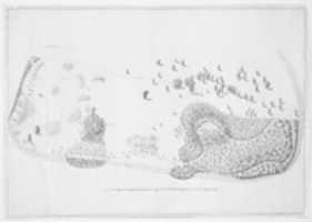 Luton Park, Bedfordshire, Plan for Planting South-East of the House GIMP online editor free Free download Luton Park, Bedfordshire, Plan for Planting South-East of the House free photo or picture to be edited with GIMP online image editor