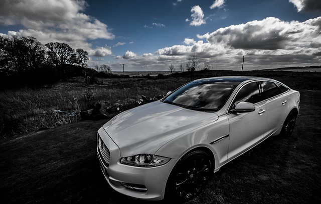 Free download luxury extreme comfort speed free picture to be edited with GIMP free online image editor