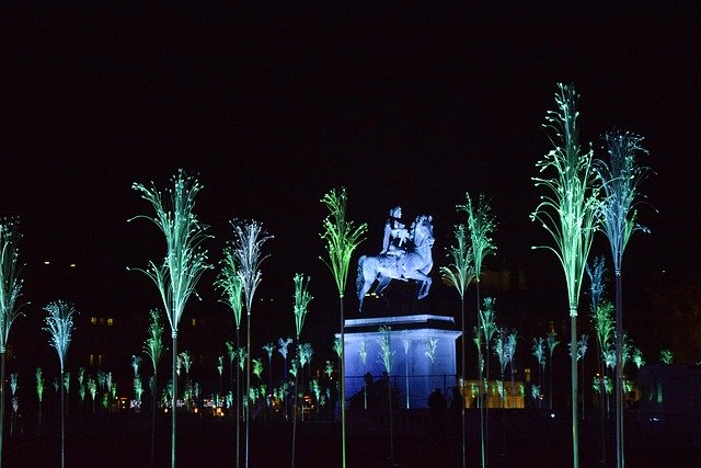 Téléchargement gratuit de Lyon Festival Of Lights Night - photo ou image gratuite à éditer avec l'éditeur d'images en ligne GIMP