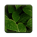 Lystäčko  screen for extension Chrome web store in OffiDocs Chromium