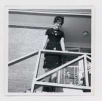 Free download M 001 2019 Master free photo or picture to be edited with GIMP online image editor