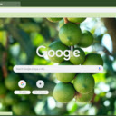 Macadamia Tree  screen for extension Chrome web store in OffiDocs Chromium