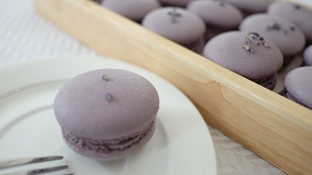 Free download Macaroon Violet Bakery -  free photo or picture to be edited with GIMP online image editor