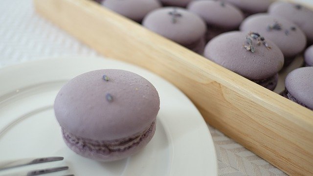 Download gratuito Macaroon Violet Bakery - foto o immagine gratuita da modificare con l'editor di immagini online di GIMP