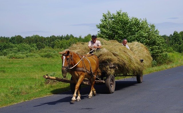 Descărcare gratuită Machine Hay Horse Cart - fotografie sau imagini gratuite pentru a fi editate cu editorul de imagini online GIMP