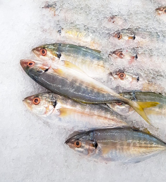 Faça o download gratuito do mercado de frutos do mar do gelo do peixe cavala para ser editado com o editor de imagens on-line gratuito do GIMP