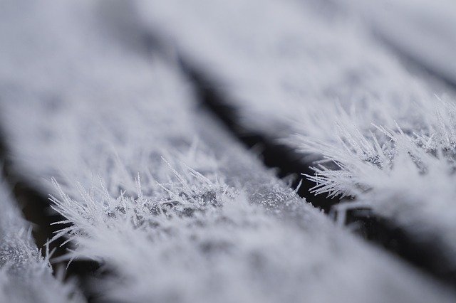 Free download Macro Close Up Frozen free photo template to be edited with GIMP online image editor