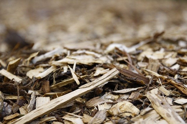 Free download Macro Ground Texture -  free photo or picture to be edited with GIMP online image editor