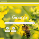 Macro Honey Bee on Flower  screen for extension Chrome web store in OffiDocs Chromium