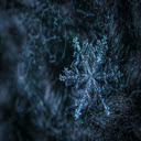 Macro Photography of Snowflake  screen for extension Chrome web store in OffiDocs Chromium
