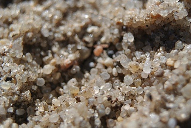 Free download Macro Sand Beach -  free photo or picture to be edited with GIMP online image editor