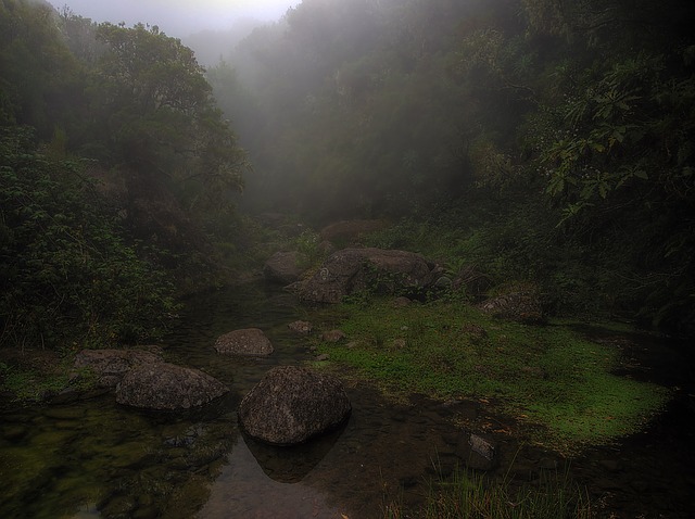Free download madeira fog clouds trail hike free picture to be edited with GIMP free online image editor