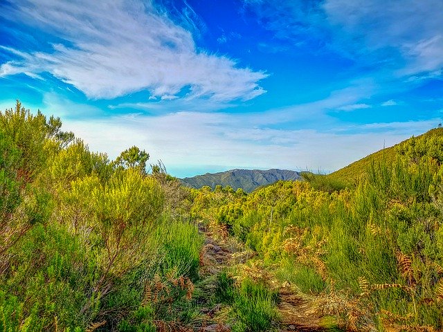Descarga gratuita Madeira Mountain Nature: foto o imagen gratuita para editar con el editor de imágenes en línea GIMP