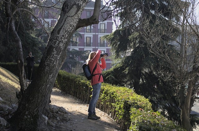 Free download madrid photographer park free picture to be edited with GIMP free online image editor