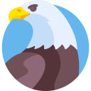 MagicBird  screen for extension Chrome web store in OffiDocs Chromium