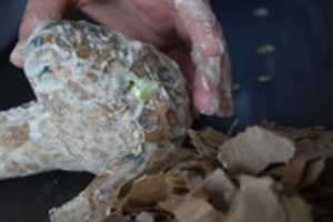 Free download Magic Means HWOS 01 008 free photo or picture to be edited with GIMP online image editor