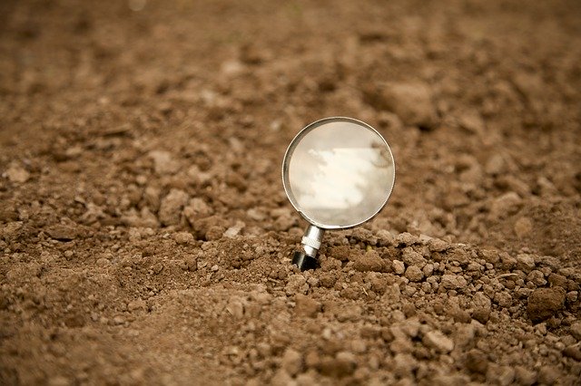 Free download Magnifying Glass Earth Field -  free photo or picture to be edited with GIMP online image editor