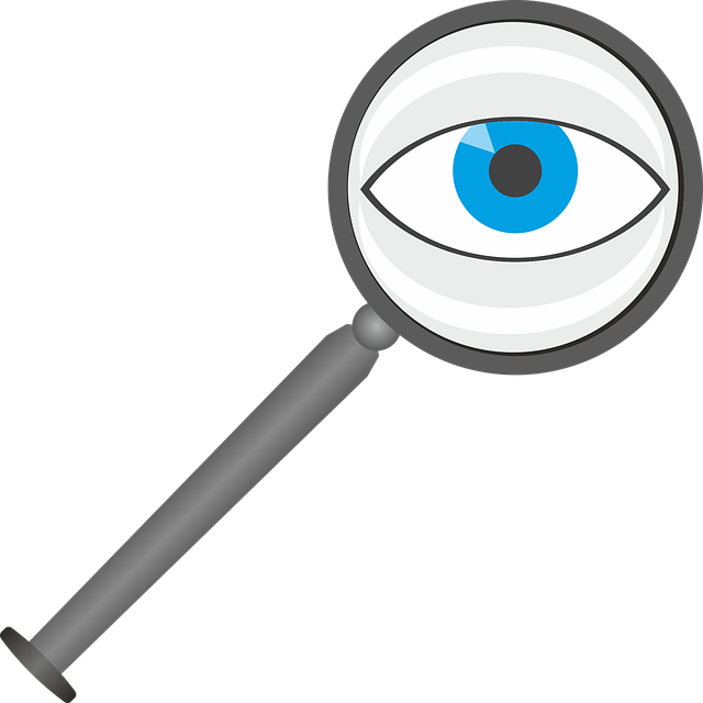 Free download Magnifying Glass Eye Lens - Free vector graphic on Pixabay free illustration to be edited with GIMP free online image editor