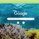 Magnum 4D Theme  screen for extension Chrome web store in OffiDocs Chromium