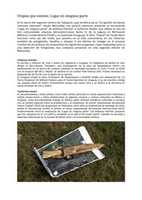 Free download MAINUMBY #2 free photo or picture to be edited with GIMP online image editor